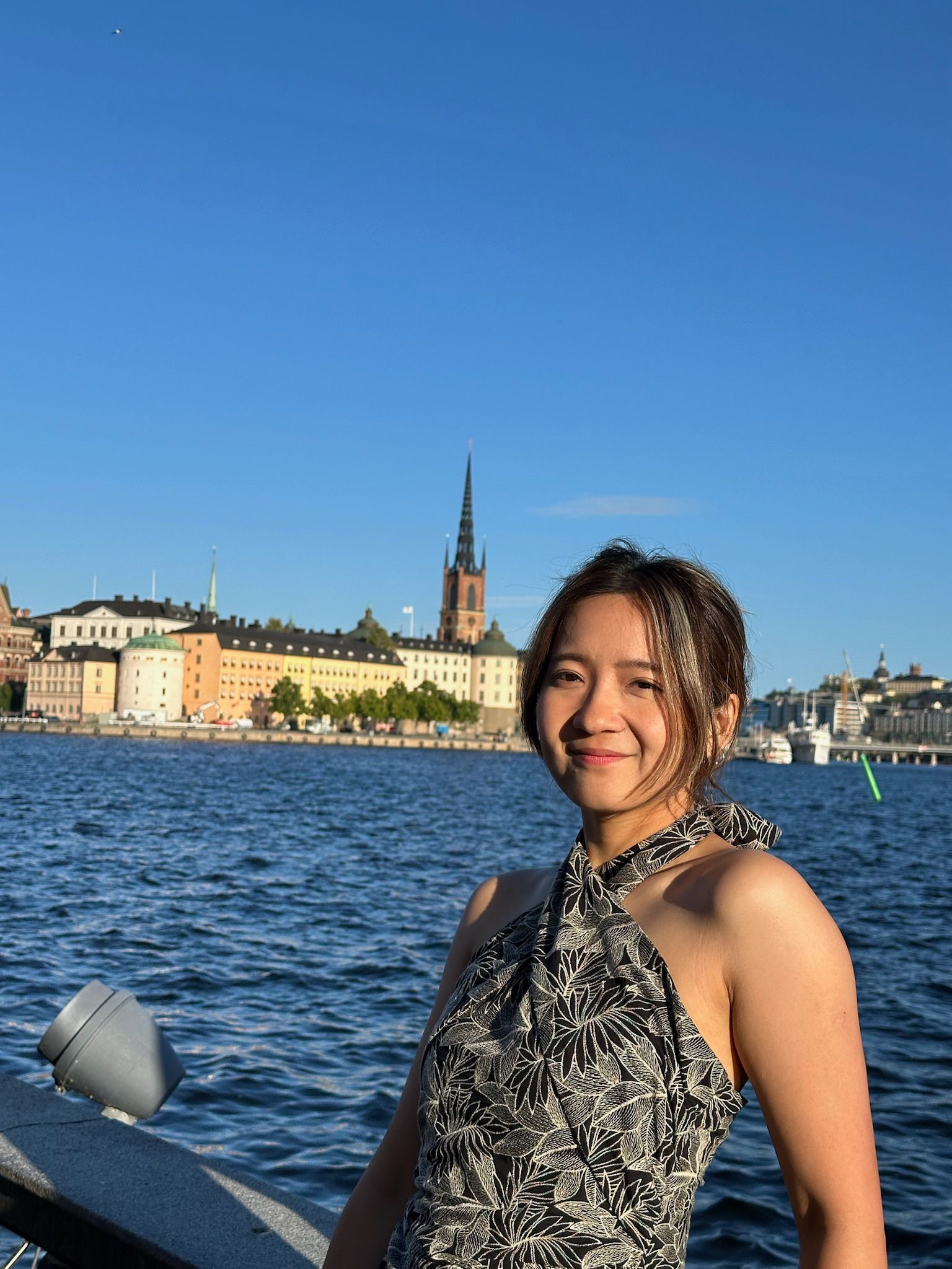 Yuliya Timoshenko pornografik multfilm