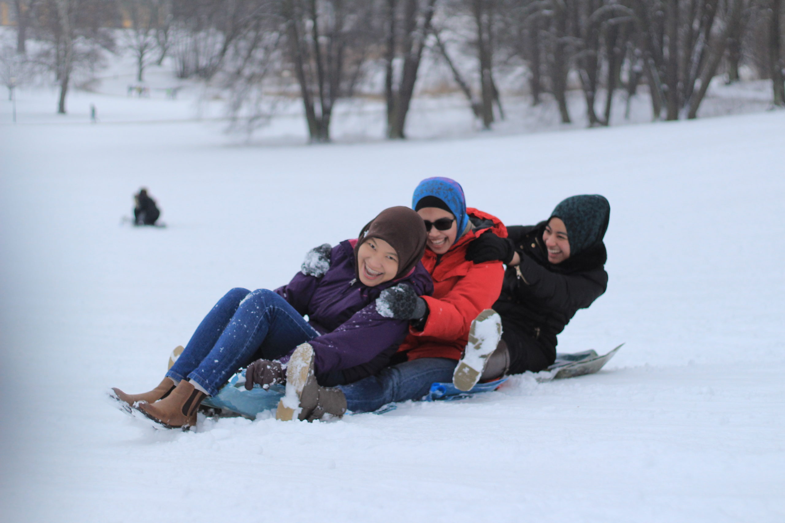 snow-sliding-in-stockholm-study-in-sweden