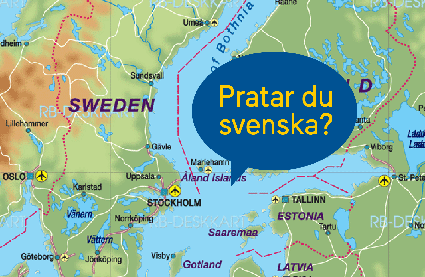 "What is stekare?" Swedish slang words and sayings to learn Study in Sweden