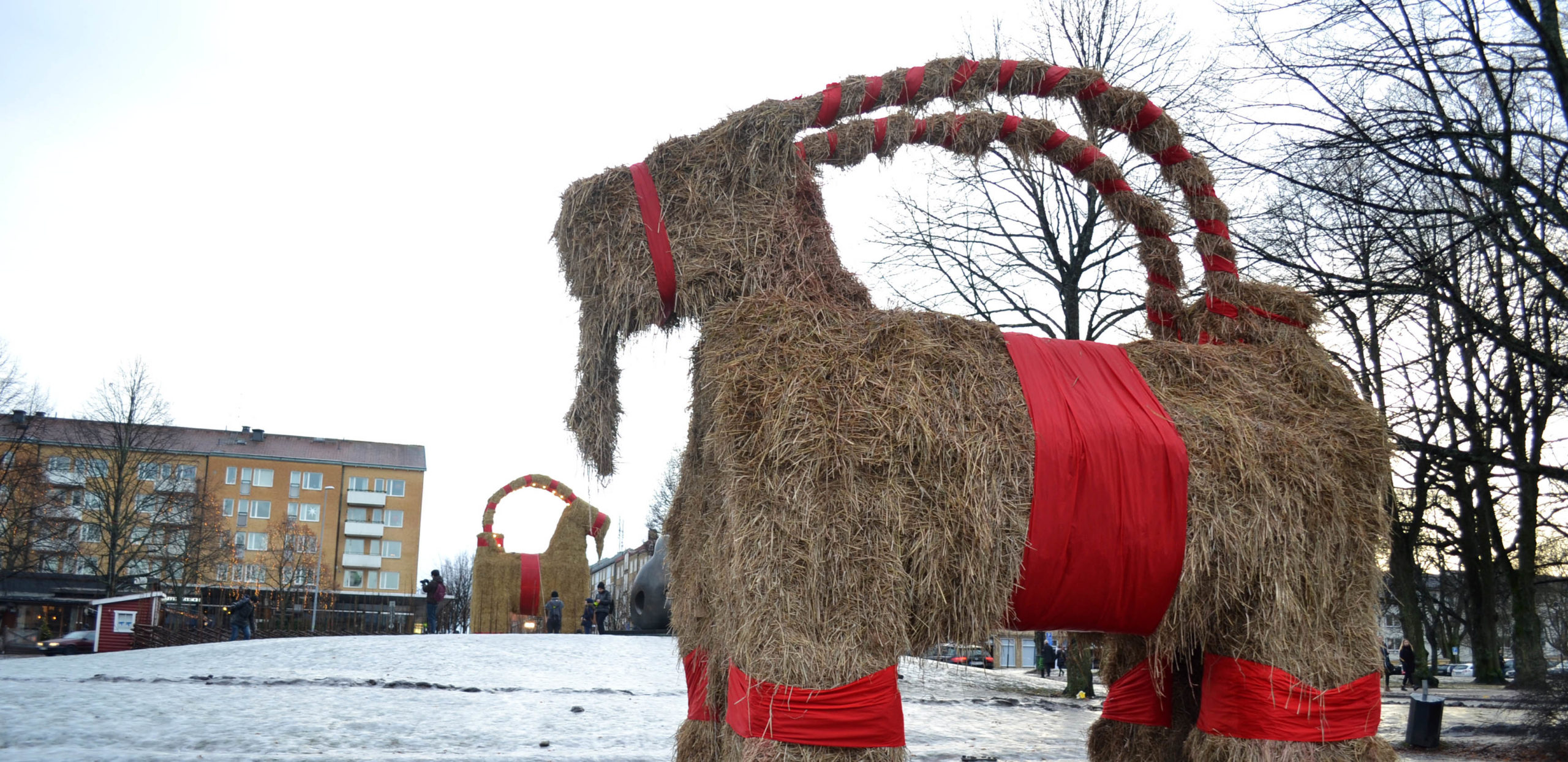 Gävle goat 2017 Study in Sweden